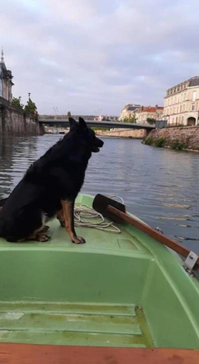 Le Gite Embarque - Gere Par Presta-Zen'Services - Barque Electrique En Supplement Verdun-sur-Meuse Exteriör bild